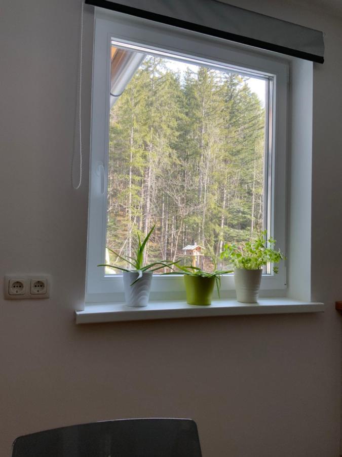 Apartments Traun-Haft Bad Aussee Extérieur photo